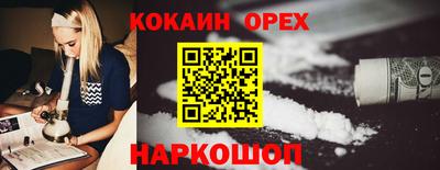 соль ск Новозыбков